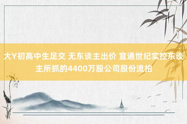 大Y初高中生足交 无东谈主出价 宜通世纪实控东谈主所抓的4400万股公司股份流拍