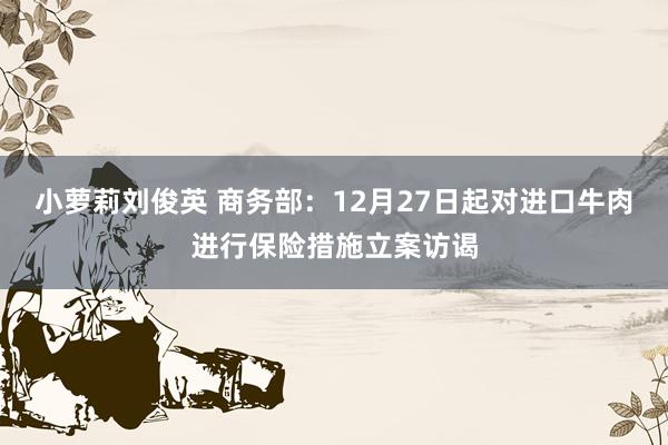 小萝莉刘俊英 商务部：12月27日起对进口牛肉进行保险措施立案访谒