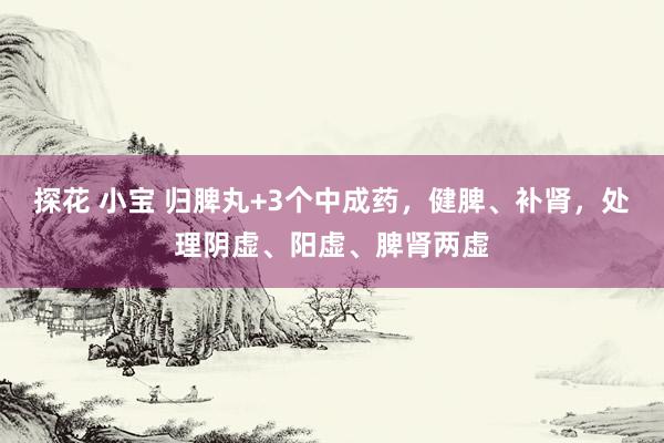 探花 小宝 归脾丸+3个中成药，健脾、补肾，处理阴虚、阳虚、脾肾两虚