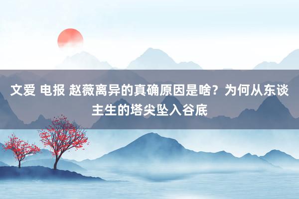 文爱 电报 赵薇离异的真确原因是啥？为何从东谈主生的塔尖坠入谷底