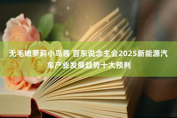 无毛嫩萝莉小鸟酱 百东说念主会2025新能源汽车产业发展趋势十大预判