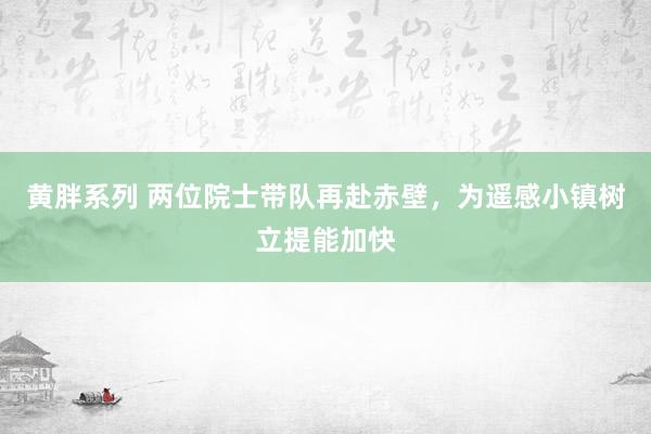 黄胖系列 两位院士带队再赴赤壁，为遥感小镇树立提能加快