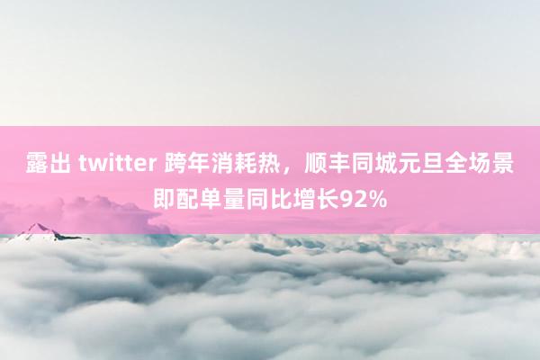 露出 twitter 跨年消耗热，顺丰同城元旦全场景即配单量同比增长92%