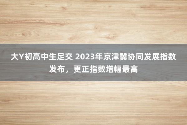 大Y初高中生足交 2023年京津冀协同发展指数发布，更正指数增幅最高