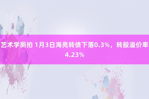 艺术学厕拍 1月3日海亮转债下落0.3%，转股溢价率4.23%