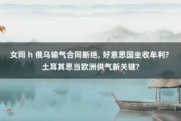 女同 h 俄乌输气合同断绝， 好意思国坐收牟利? 土耳其思当欧洲供气新关键?