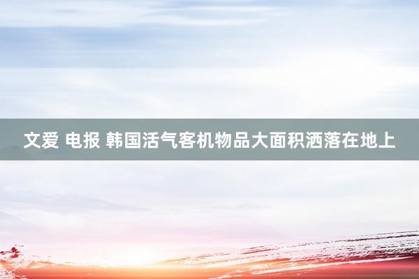 文爱 电报 韩国活气客机物品大面积洒落在地上