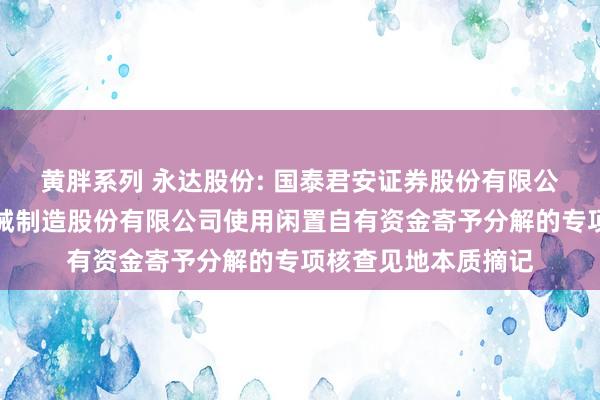 黄胖系列 永达股份: 国泰君安证券股份有限公司对于湘潭永达机械制造股份有限公司使用闲置自有资金寄予分解的专项核查见地本质摘记