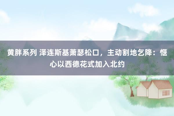 黄胖系列 泽连斯基萧瑟松口，主动割地乞降：惬心以西德花式加入北约