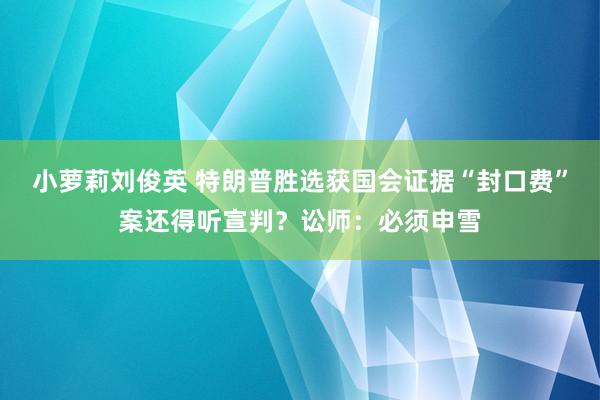 小萝莉刘俊英 特朗普胜选获国会证据“封口费”案还得听宣判？讼师：必须申雪