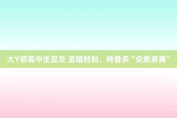 大Y初高中生足交 至暗时刻，特鲁多“众叛亲离”