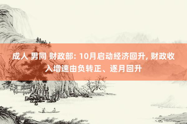 成人 男同 财政部: 10月启动经济回升， 财政收入增速由负转正、逐月回升