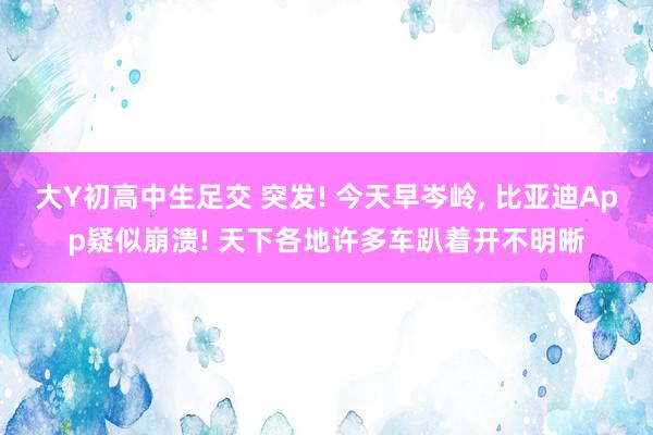 大Y初高中生足交 突发! 今天早岑岭， 比亚迪App疑似崩溃! 天下各地许多车趴着开不明晰