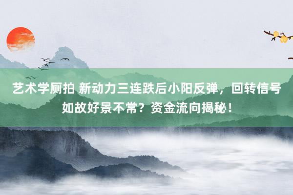 艺术学厕拍 新动力三连跌后小阳反弹，回转信号如故好景不常？资金流向揭秘！