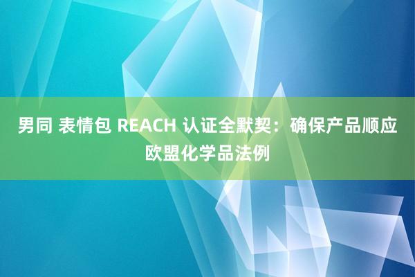 男同 表情包 REACH 认证全默契：确保产品顺应欧盟化学品法例