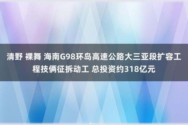 清野 裸舞 海南G98环岛高速公路大三亚段扩容工程技俩征拆动工 总投资约318亿元