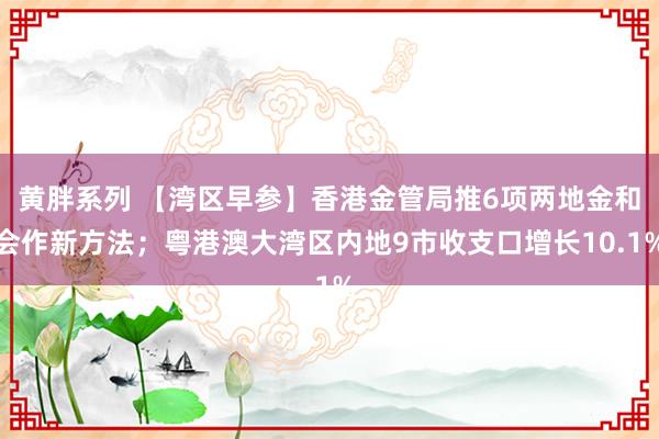 黄胖系列 【湾区早参】香港金管局推6项两地金和会作新方法；粤港澳大湾区内地9市收支口增长10.1%