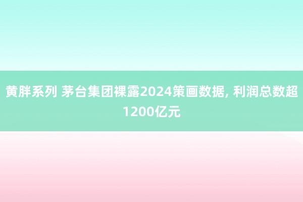 黄胖系列 茅台集团裸露2024策画数据， 利润总数超1200亿元