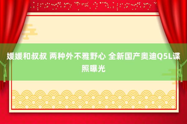 媛媛和叔叔 两种外不雅野心 全新国产奥迪Q5L谍照曝光