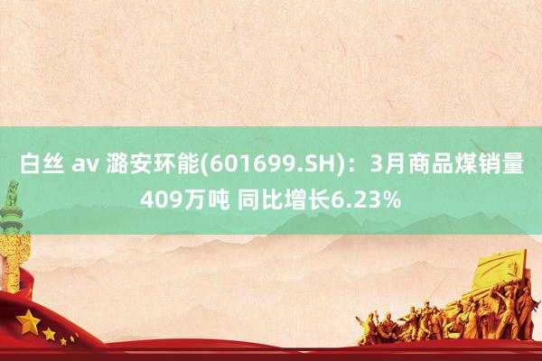 白丝 av 潞安环能(601699.SH)：3月商品煤销量409万吨 同比增长6.23%